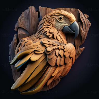 3D model parrots beak (STL)